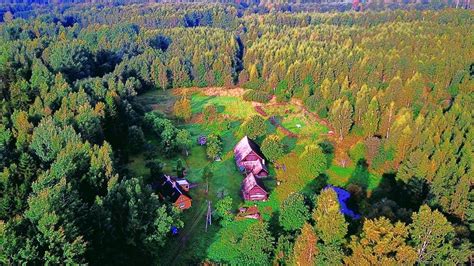 My first southern summer: how I learned to survive Estonia