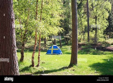 Scandinavia, Sweden, Stockholm, Camping tent in forest Stock Photo - Alamy