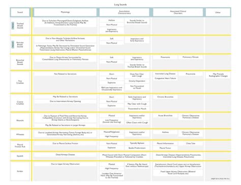 (PDF) PULMONARY PHYSICAL EXAM-2 · Tactile Fremitus and Whispered Pectoriloquy Normal Egophony ...