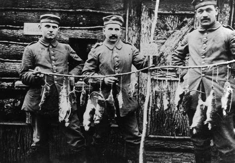 Rare photographs capture trench rats killed by Terrier dogs, 1916 - Rare Historical Photos