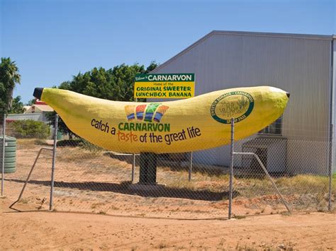 Top 10 Things To Do In Carnarvon | Carnarvon Travel Guide 2023