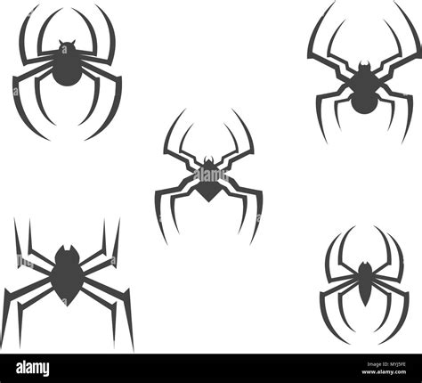 Spider Logo design vector illustration design template Stock Vector Image & Art - Alamy