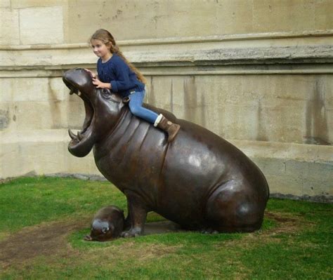 Hippo Sculptures | Animal Sculptures