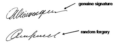 Signature Verification: Man vs. Machine