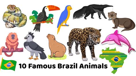 10 Famous Brazil Animals - Anaconda, Hyacinth Macaw, Toucan, Capybara, Harpy Eagle, River Otter ...