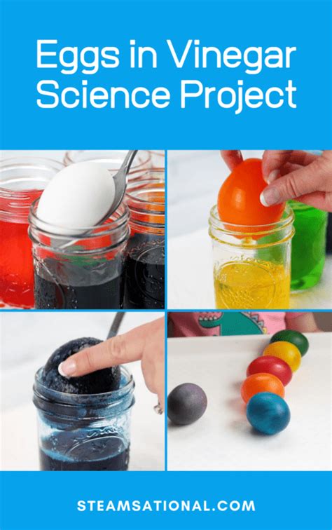 How to Do the Bouncy Rainbow Rubber Eggs Experiment