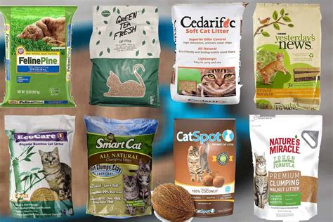 8 Types of Biodegradable Cat Litter (Including Pros and Cons)