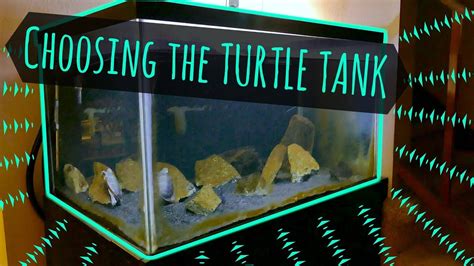 Choosing the Turtle Tank - Type, Size, and More! | Turtle 101 - YouTube