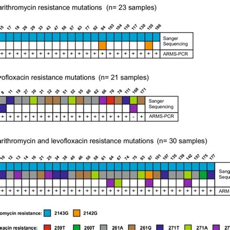 H. pylori antibiotic resistance spectrum. a Distribution of antibiotic ...