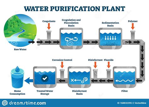 Water Purification Plant Filtration Process Explanation Vector ...