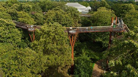 Treetop Walkway | Kew