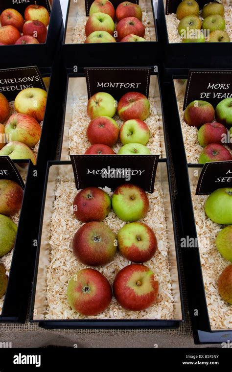 Apple varieties hi-res stock photography and images - Alamy