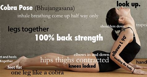 Benefits of Bhujangasana [Cobra Pose]