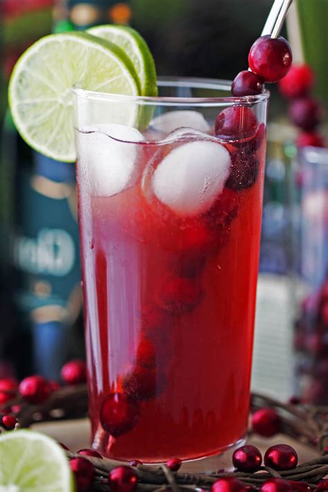 Cranberry Whiskey Ginger Cocktail - Yay! For Food