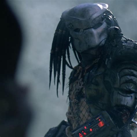 Predator': Reasons Why The '80s Schwarzenegger Original Still Rules | lupon.gov.ph