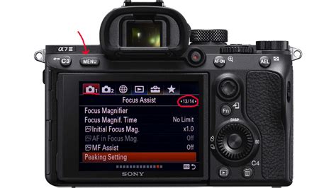 Using Manual Focus on the Sony a7iii (Easy!) - Sony Photo Review