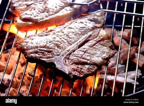 T bone steak on a South African braai Stock Photo - Alamy