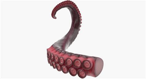 3d model tentacle octopus