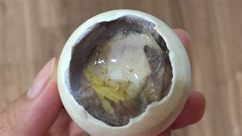 How to Cook Balut?