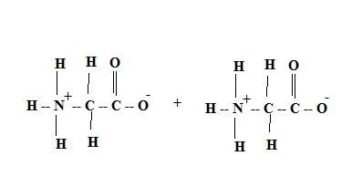 Draw the dipeptide that results when a peptide bond is formed between the two glycine molecules ...