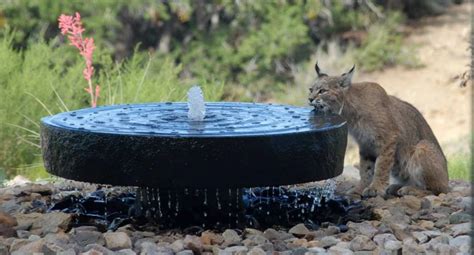 Natural millstone fountain – Artofit