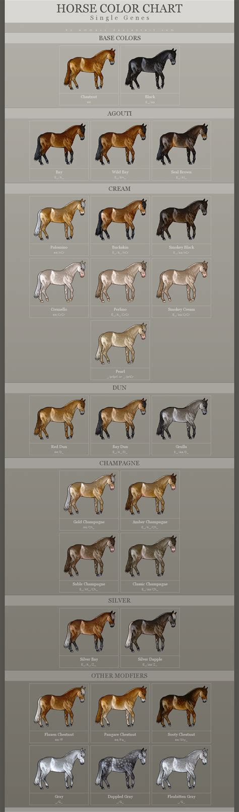 HORSE COLOR CHART - Single Genes | Horse color chart, Horse coloring, Horse coat colors