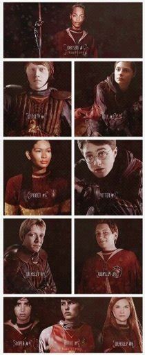 Hogwarts Quidditch Teams | Harry Potter Amino