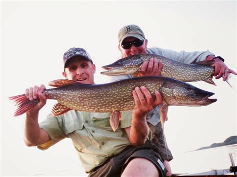 The Adventures and Musing of Drew Price, Angler: Spring Pike Fishing ...