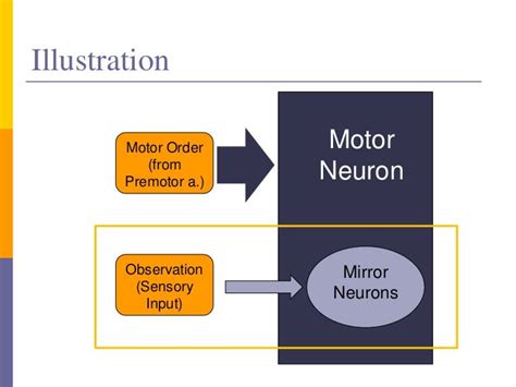 Mirror neurons