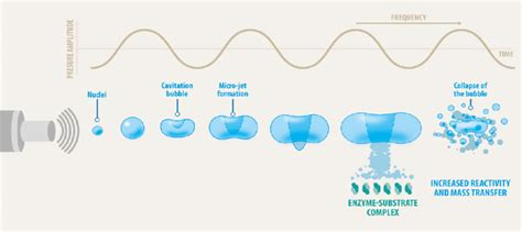 Schematic representation of the ultrasonic cavitation phenomena ...