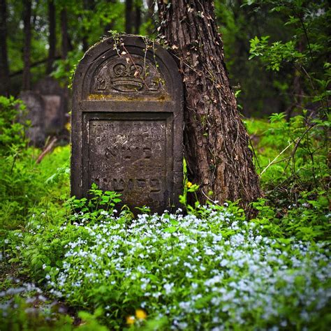 Cemetery Headstones, Old Cemeteries, Cemetery Art, Cemetary, Gravestone, Tombstone, Graveyards ...
