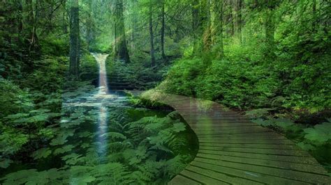 Peaceful Nature Wallpaper (38+ images)