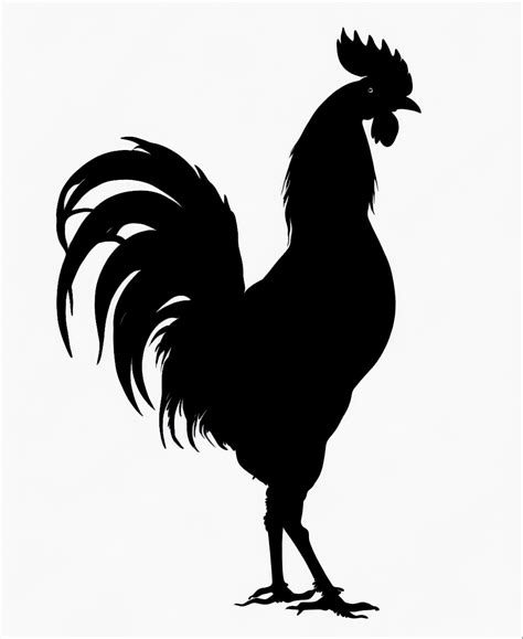 Chicken Silhouette Rooster , Hen Silhouette , shadow of rooster - Clip Art Library