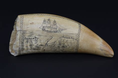 Scrimshaw Sperm Whale Tooth circa 1850 - Scrimshaw Whaling Scene Sperm Whale Tooth, circa 1850 ...