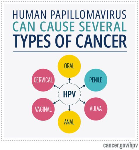 Hpv In Men Early Stages