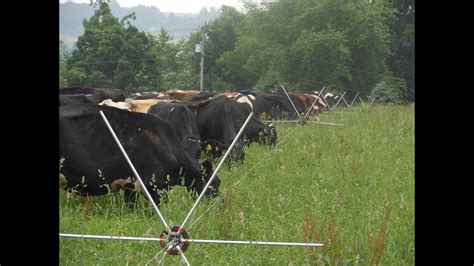 How to use Gallagher Tumble Wheels for rotational grazing fencing - YouTube