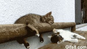 Clumsy GIF - Find & Share on GIPHY