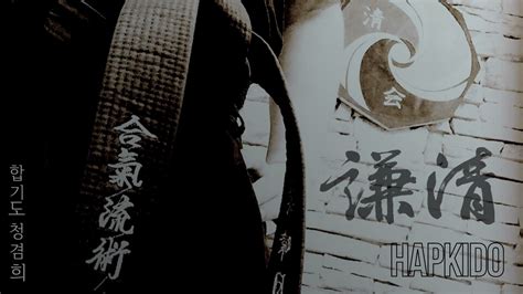 Wallpaper : hapkido, korean martial arts 1920x1080 - moonlightbeam - 2124161 - HD Wallpapers ...