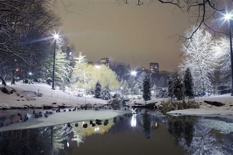 cityaeyaey, Park, Trees, Winter, Snow, Lights Wallpapers HD / Desktop and Mobile Backgrounds