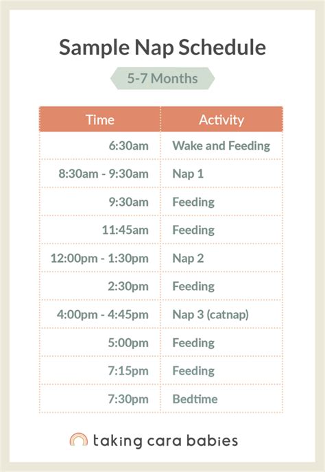 Nap Schedules: 5 Months to 24 Months | Taking Cara Babies