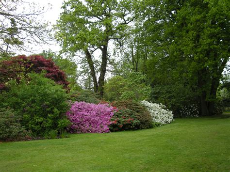 Savill Garden Windsor Visit | The Surrey Edit