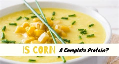 Is Corn a Complete Protein? (Revealed) - Tastylicious