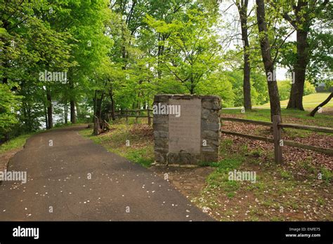 Walking path in the forest Stock Photo - Alamy