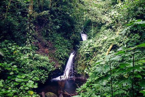 A Self-Guided Hike in the Monteverde Cloud Forest Reserve