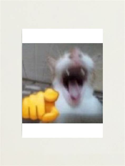 Lámina fotográfica for Sale con la obra «El gato que ríe - El Gato Riendo» de VersesStore ...