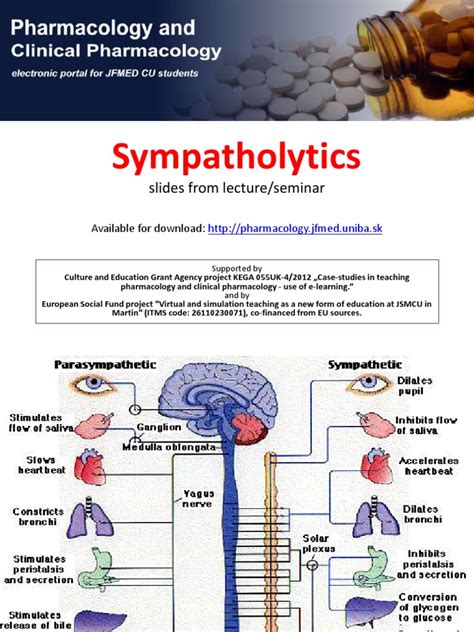 Sympatholytics en | PDF