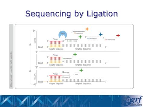 NGS technologies - platforms and applications