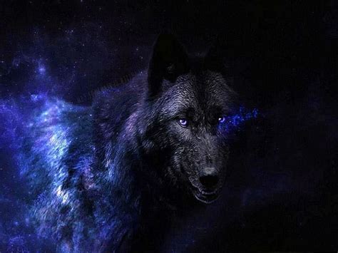 Black Wolf With Blue Eyes Wallpapers - www.Wolf-Wallpapers.pro