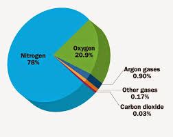 The pie chart shows the composition of air. Identify the gases W, X, Y.Nitrogen - Rare gases ...