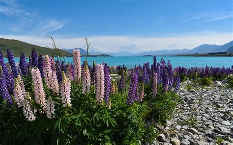 The Most Stunning New Zealand Lakes | LesterLost